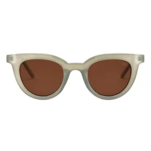 Canyon Cactus / Brown Polarized