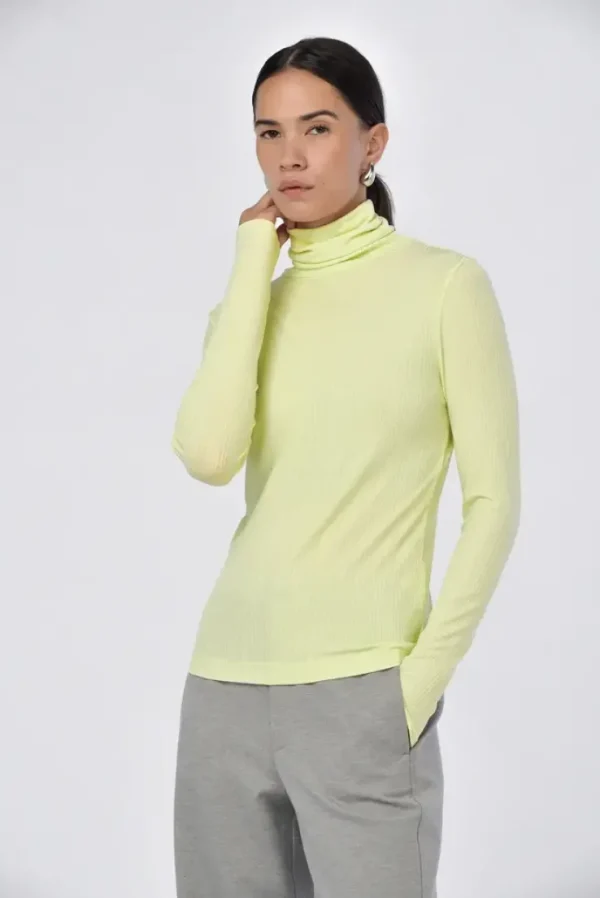 Celina Turtle Neck