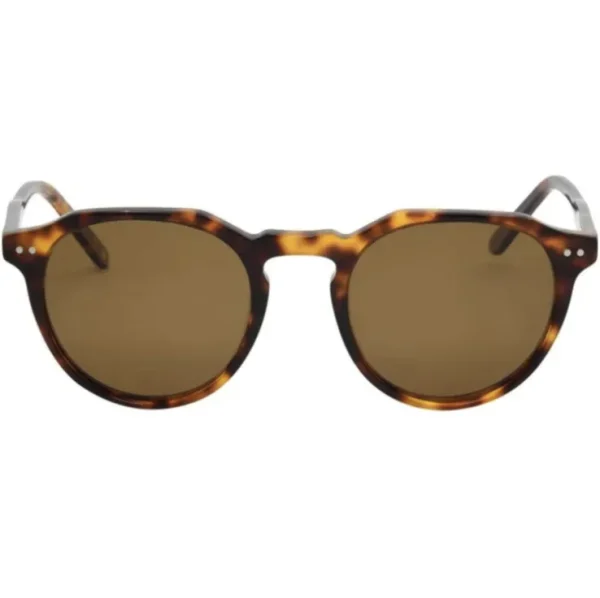 Watty - Tort Acetate Brown Polarized