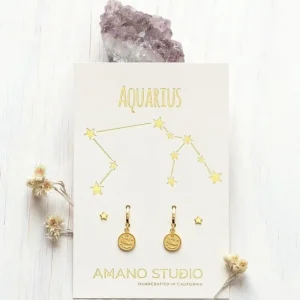 Zodiac Huggie Earrings