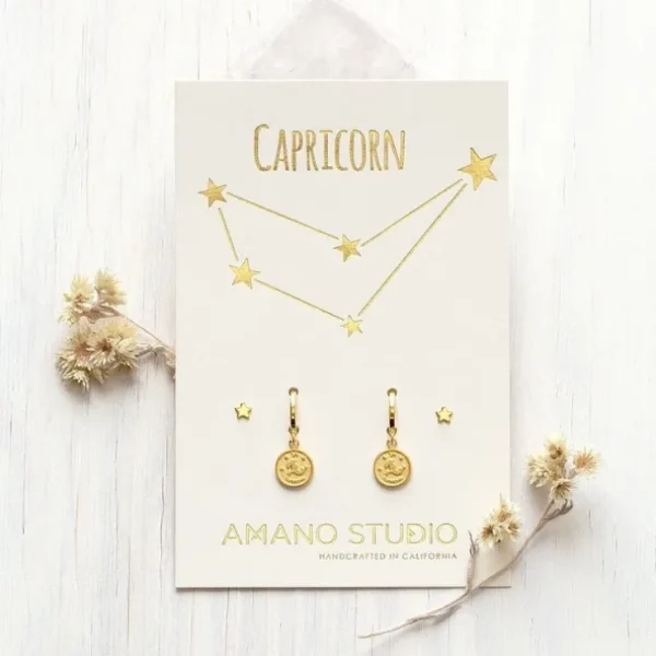Zodiac Huggie Earrings